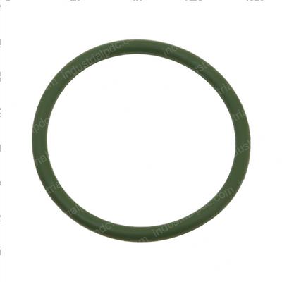 Picture of O-Ring
