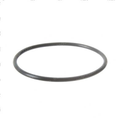 Picture of O-Ring