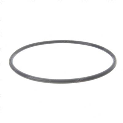 Picture of O-Ring