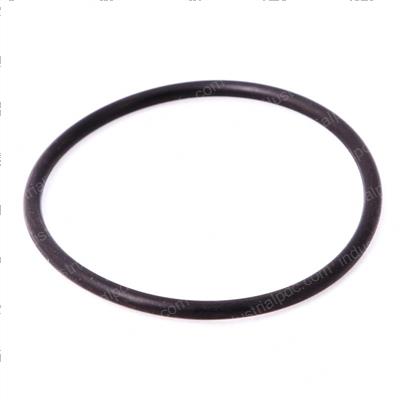 Picture of Seal