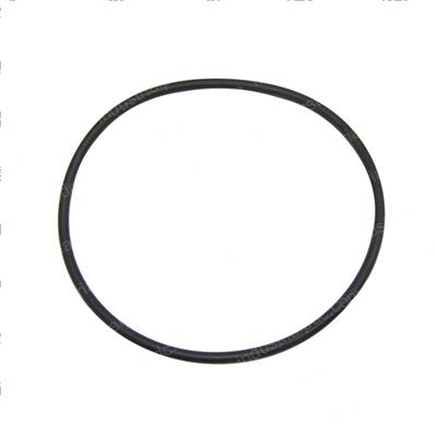 Picture of O-Ring