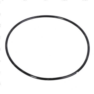 Picture of O-Ring