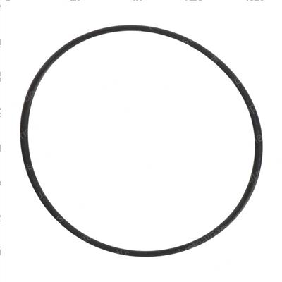 Picture of O-Ring