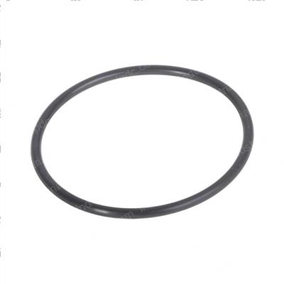 Picture of O - Ring
