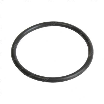 Picture of O-Ring