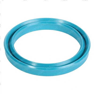 Picture of Seal, 80mm ID