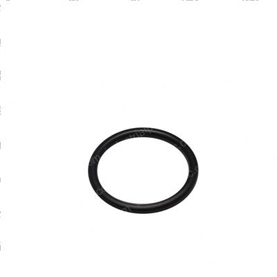 Picture of O-Ring
