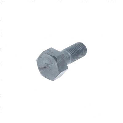 Picture of Bolt