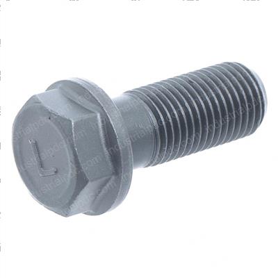 Picture of Bolt