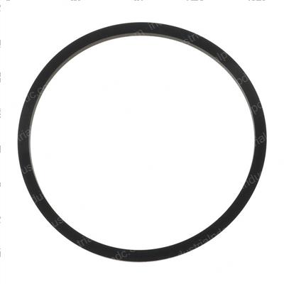 Picture of O Ring - Filter Element