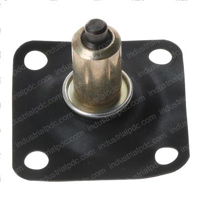 Picture of Diaphragm