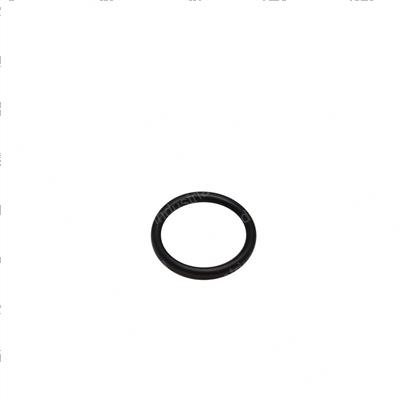 Picture of O-Ring