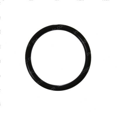 Picture of O-Ring