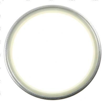 Picture of Seal - Dust