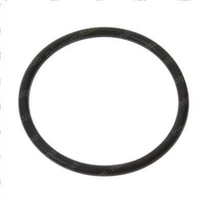 Picture of Seal