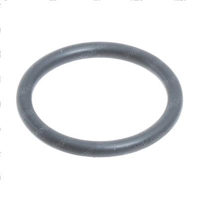 Picture of O Ring