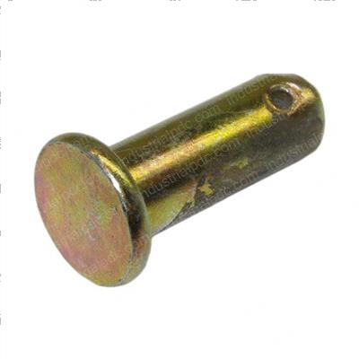 Picture of Pin