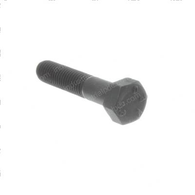 Picture of Bolt