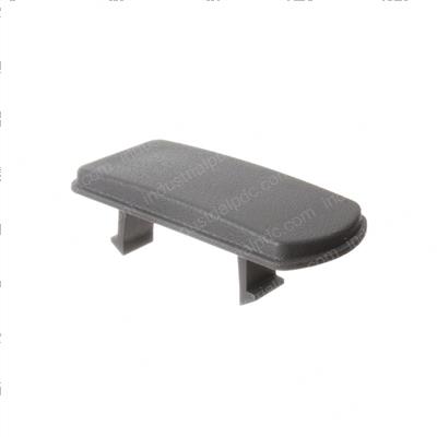 Picture of Blank Switch