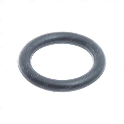 Picture of O-Ring