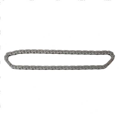 Picture of Chain, Timing