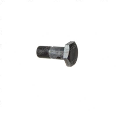 Picture of Brake Banjo Bolt