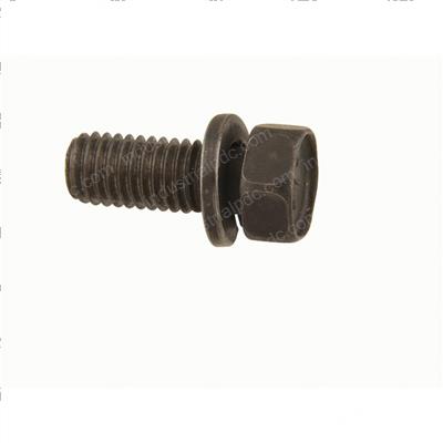 Picture of Bolt