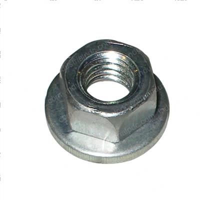 Picture of Nut