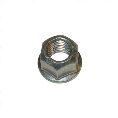 Picture of Nut