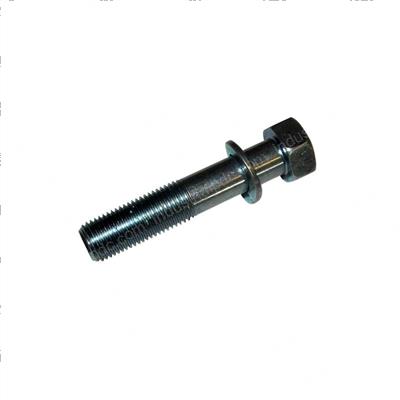 Picture of Bolt - Sems