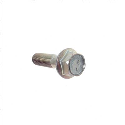 Picture of Bolt