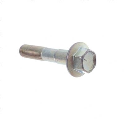 Picture of Bolt