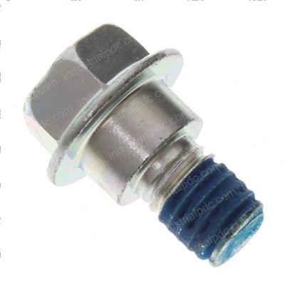 Picture of Bolt