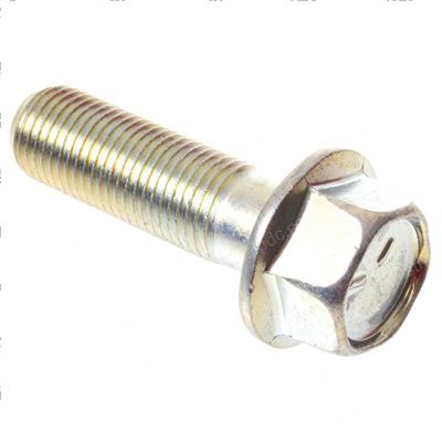 Picture of Bolt