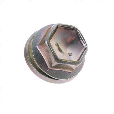 Picture of Bolt