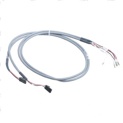 Picture of Harness Wiring