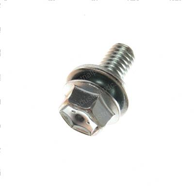Picture of Bolt