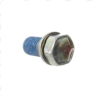 Picture of Bolt