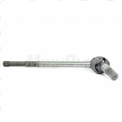 Picture of Joint