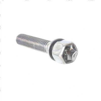 Picture of Bolt Special