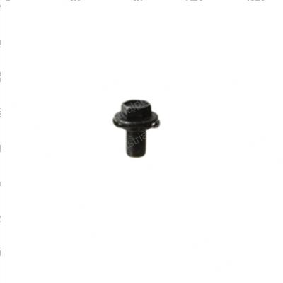 Picture of Bolt - Special
