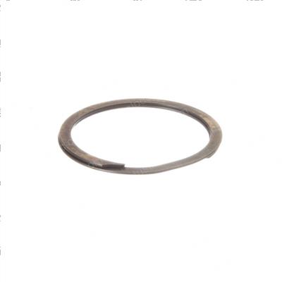 Picture of Retaining Ring
