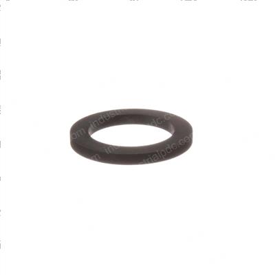 Picture of Seal