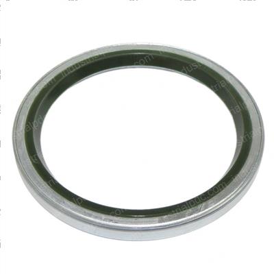 Picture of Seal
