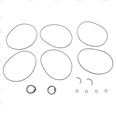 Picture of Seal Kit for 109311 Motor