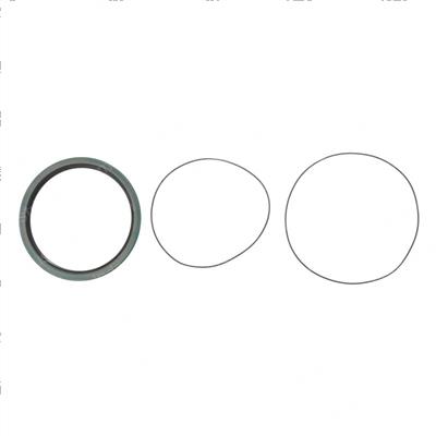 Picture of Seal Kit- Wheel Drive