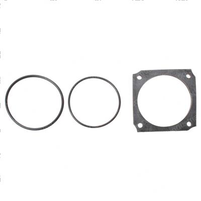 Picture of Seal Kit
