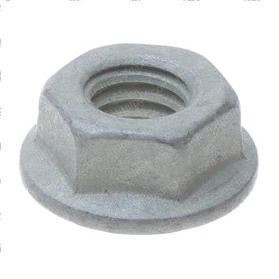 Picture of Nut