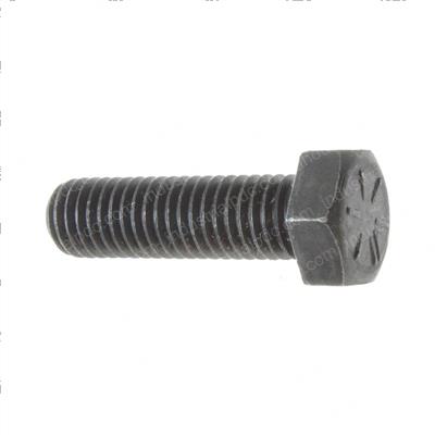 Picture of Bolt
