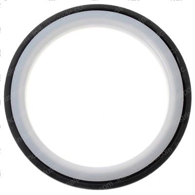 Picture of Seal - Crankshaft